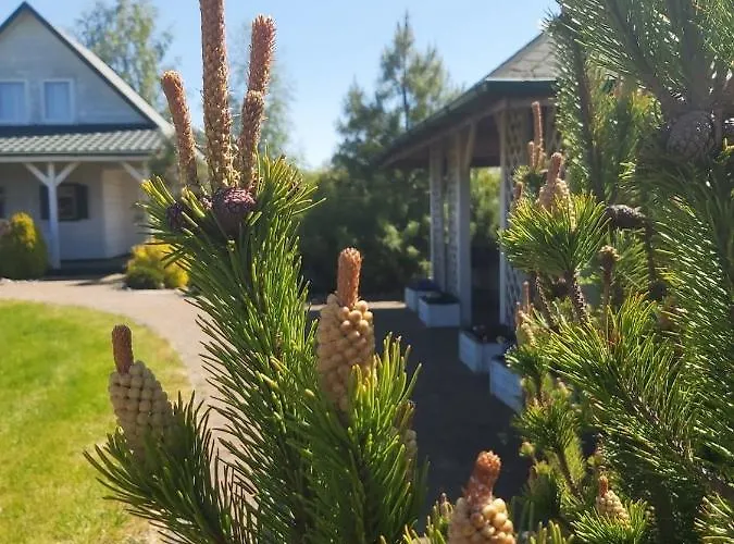 Semesterbostad Morska Osada *